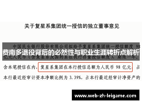 费南多退役背后的必然性与职业生涯转折点解析