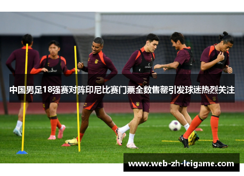 中国男足18强赛对阵印尼比赛门票全数售罄引发球迷热烈关注