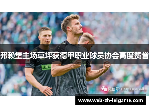 弗赖堡主场草坪获德甲职业球员协会高度赞誉